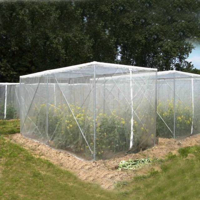 Bird net, hail proof, PE insect proof agricultural tools, greenhouse shading