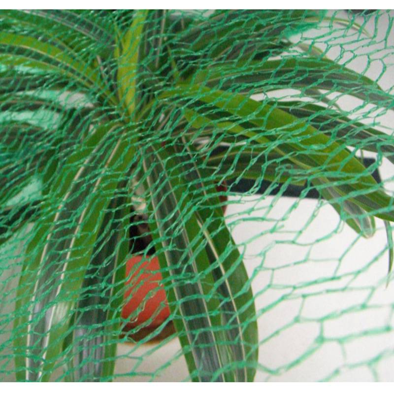 Bird net, hail proof, PE insect proof agricultural tools, greenhouse shading