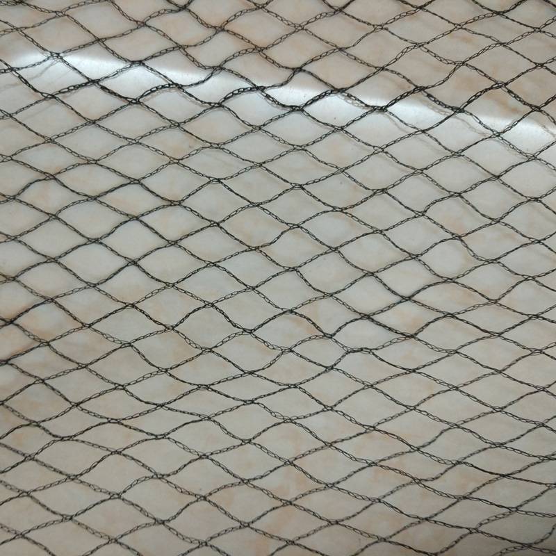 Bird net, hail proof, PE insect proof agricultural tools, greenhouse shading