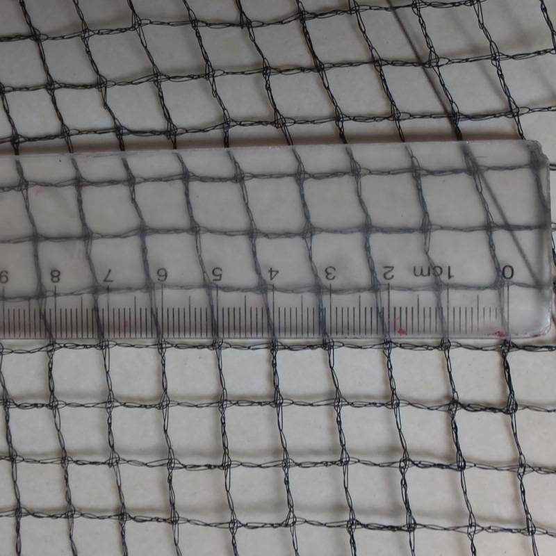 Bird net, hail proof, PE insect proof agricultural tools, greenhouse shading