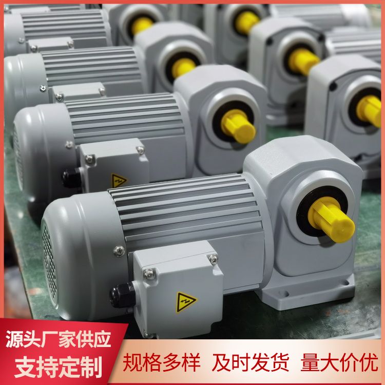 Helical gear reducer manufacturer wholesale frequency 60 output shaft 22 German brand Japan