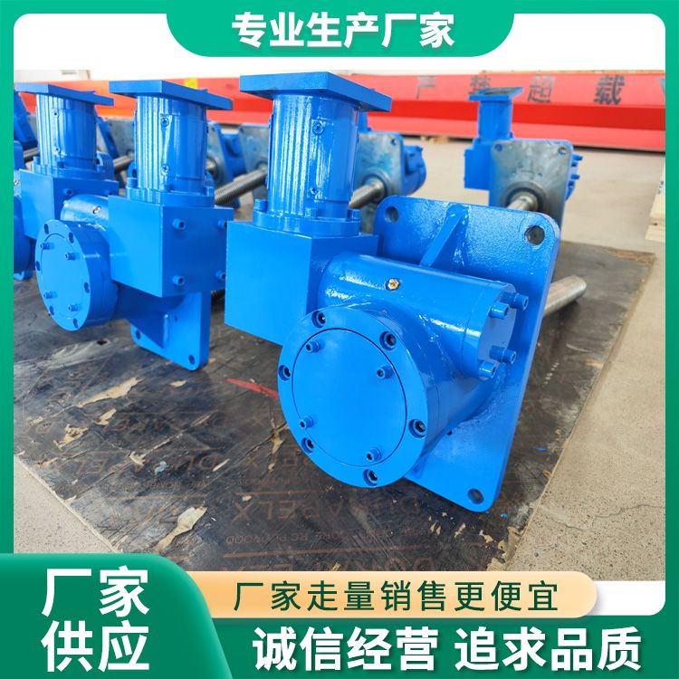 SWL50 Screw Elevator Manufacturer Layout Form Coaxial Multiple Forms of Copper Wheel Worm Gears