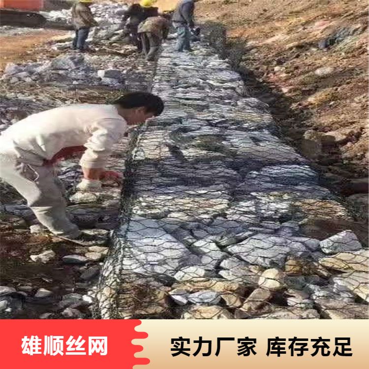 Plain weave galvanized gabion net service professional service for landscaping and municipal engineering