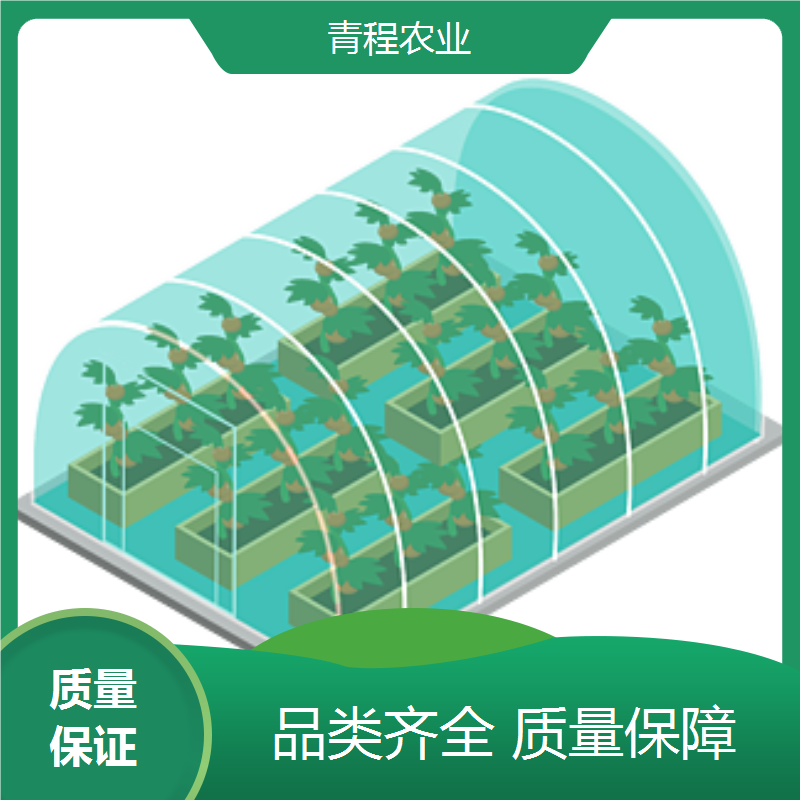 Qingcheng Agriculture has strong pressure resistance, and the design of a single thin film greenhouse has over 90% light transmittance and large lighting area