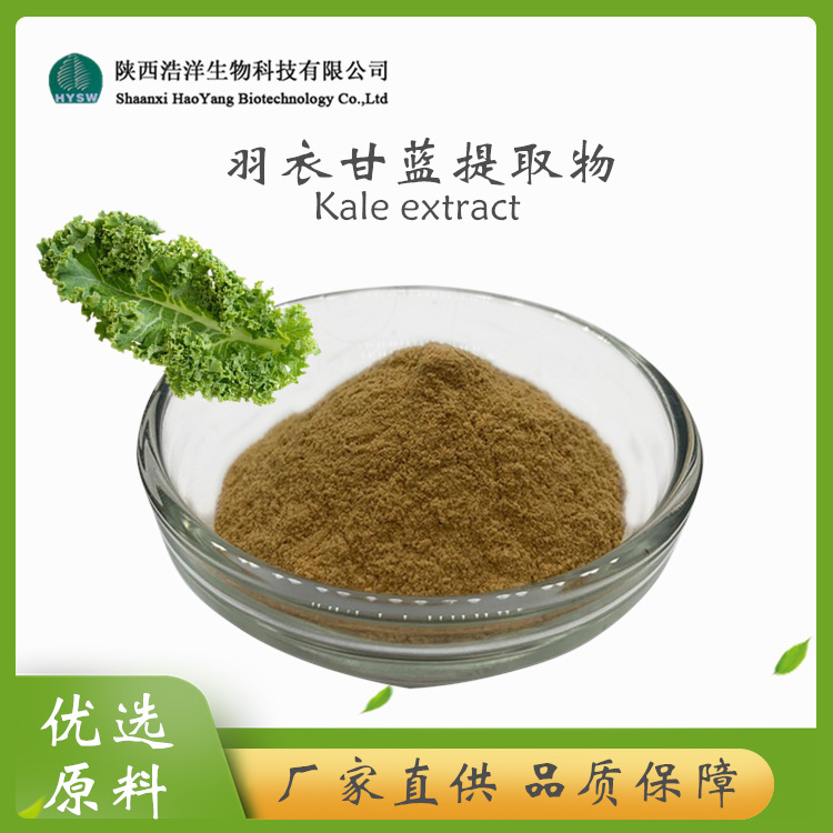 HY羽衣甘蓝