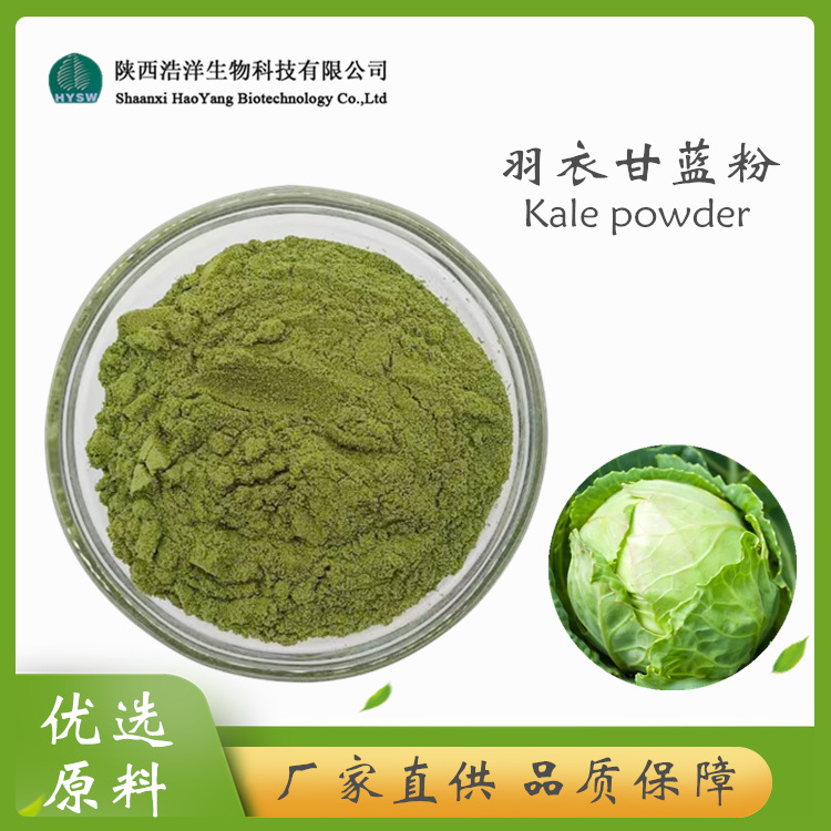 HY羽衣甘蓝粉