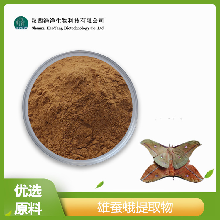 HY雄蚕蛾