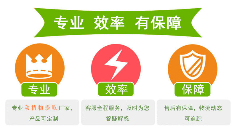 专业 效率 保障