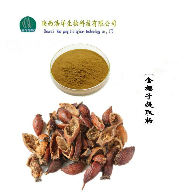金樱子浸膏粉