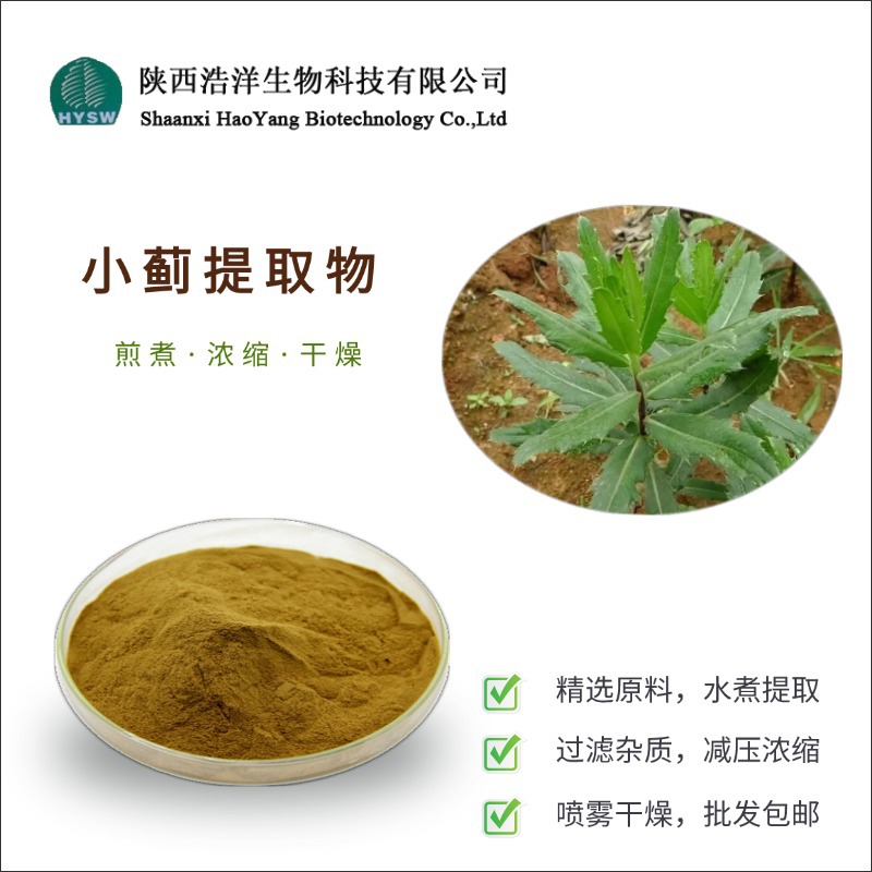 小蓟提取物