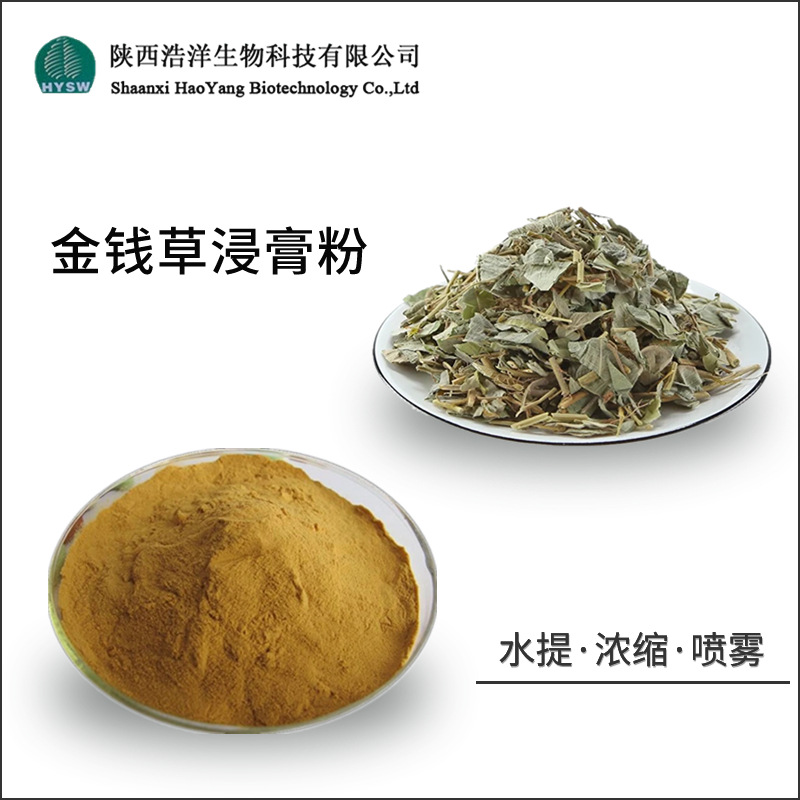 金钱草浸膏粉