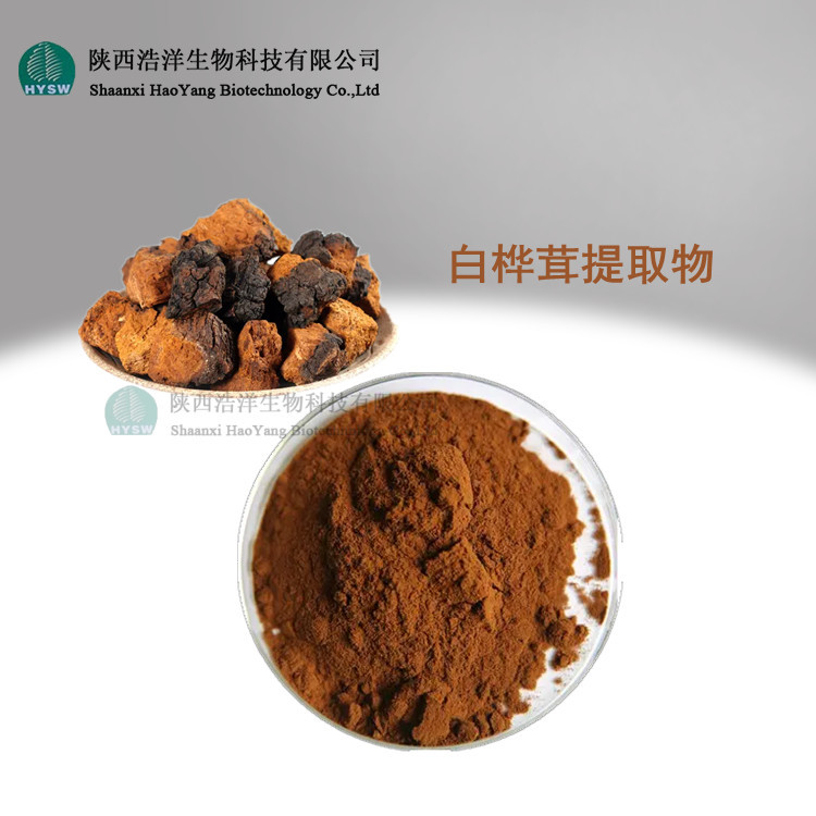 白桦茸提取物