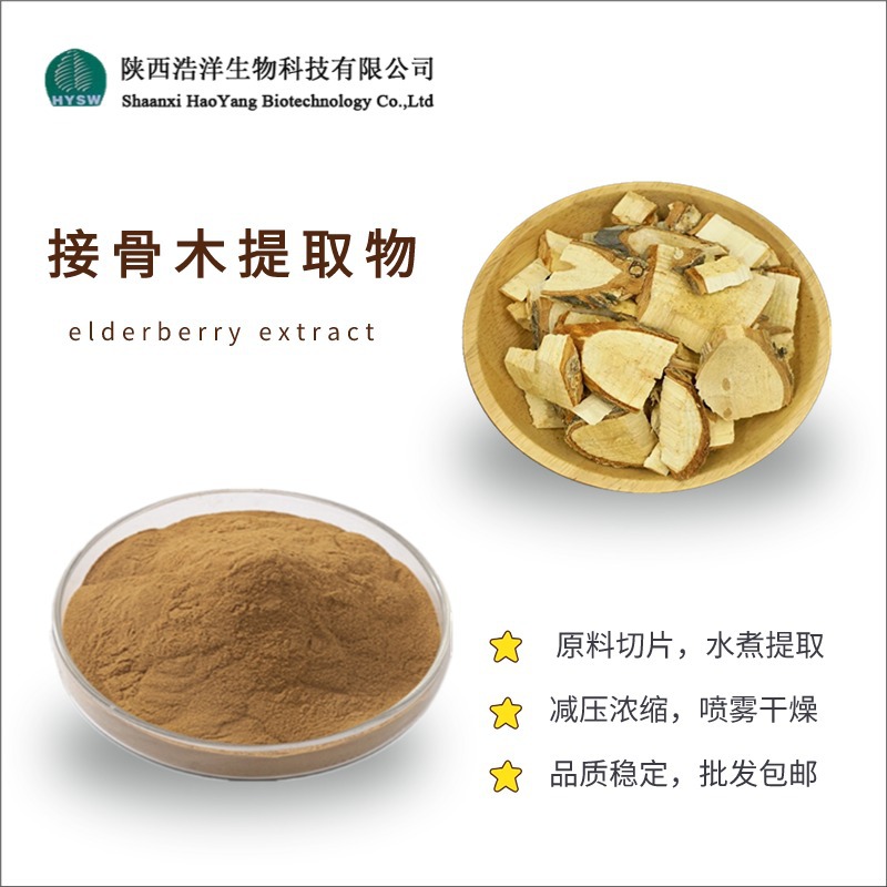 接骨木提取物