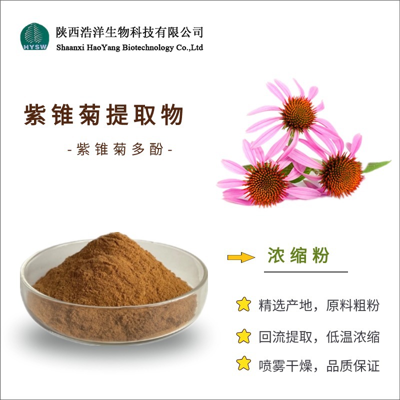 紫锥菊提取物