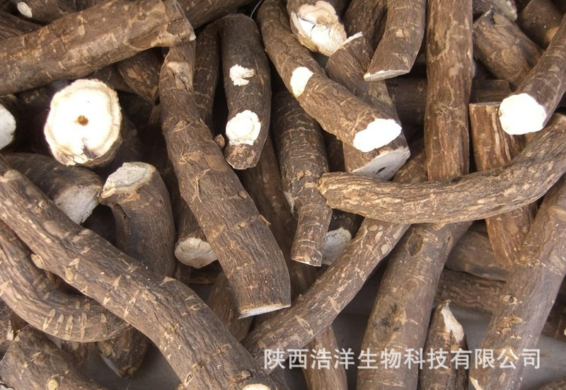 赤芍提取物