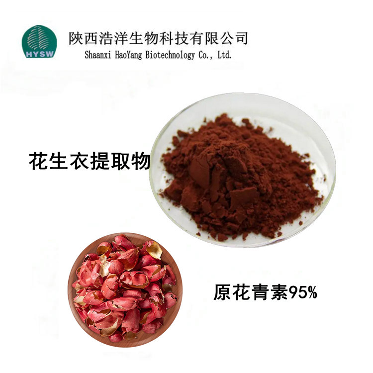 花生衣提取物