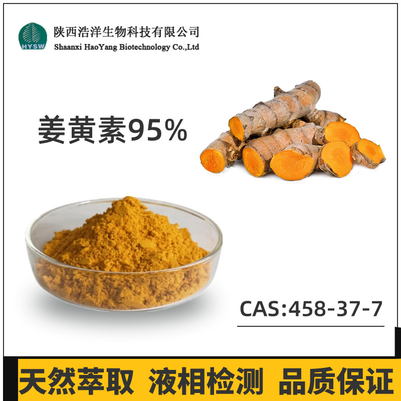 姜黄素95%
