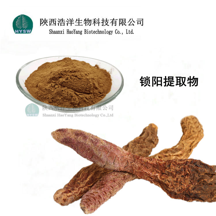 锁阳提取物