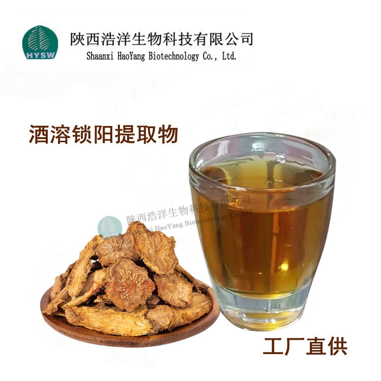 酒溶锁阳