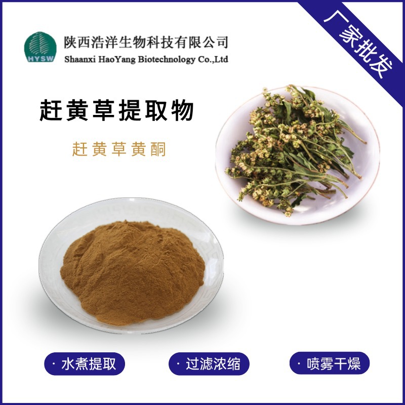 赶黄草提取物 (2)