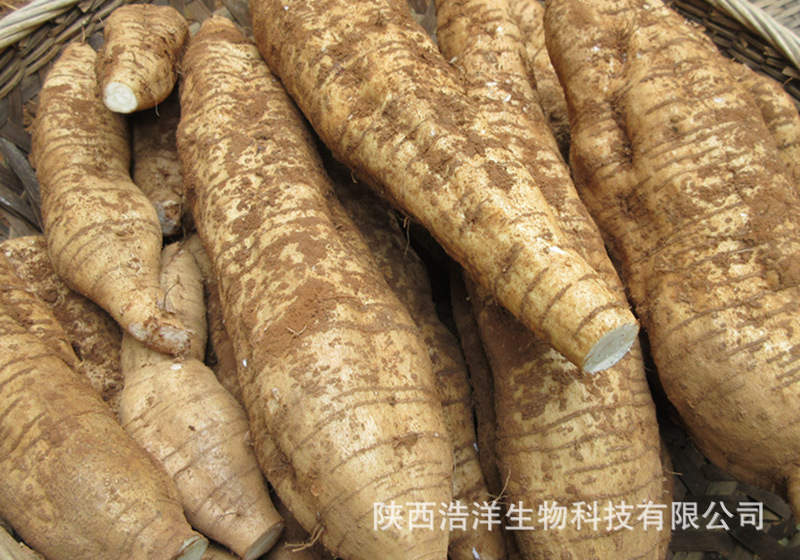 葛根素40%