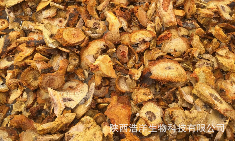 虎杖大黄素