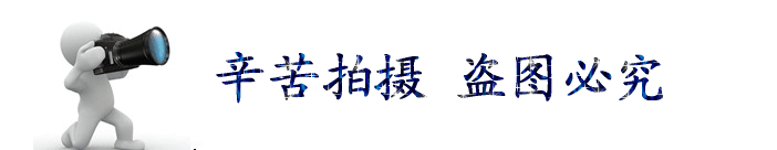 拍摄2
