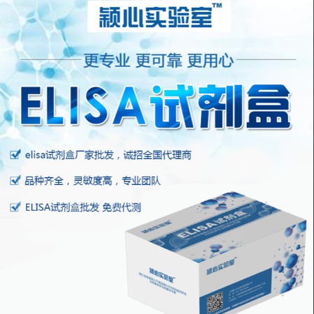 人糖原合成酶激酶3（GSK-3）Elisa试剂盒