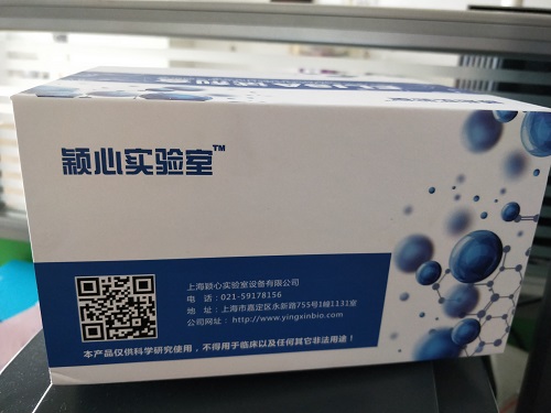 牛血管生成素样蛋白4（ANGPTL4)Elisa试剂盒