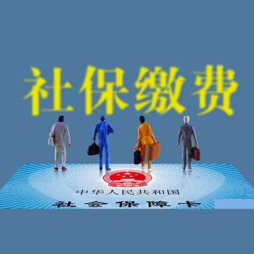 社保代缴后怎么查询缴纳情况