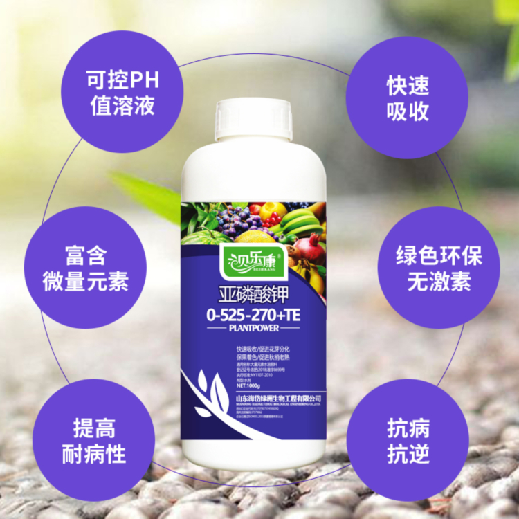 Belkon Phosphorous acid promotes flower bud differentiation, promotes flower and fruit, and can control flourishing flower and fruit trees