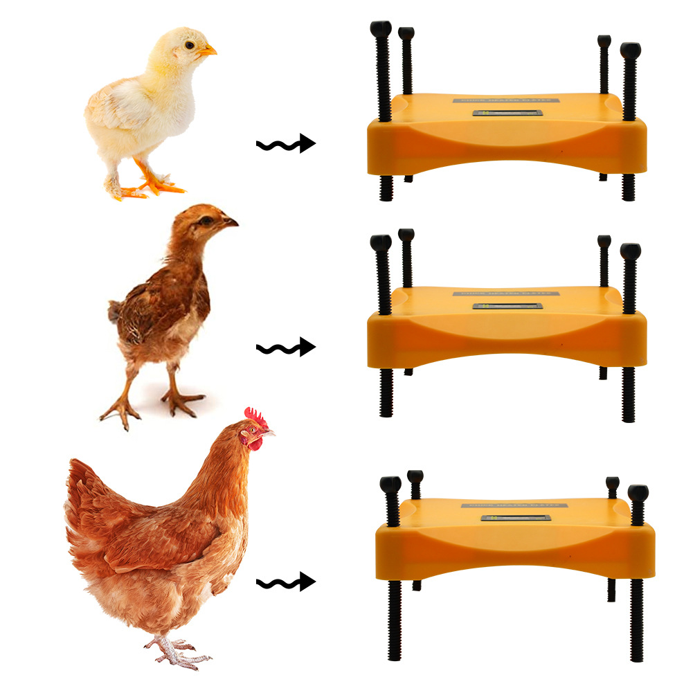 Cross border exclusive heating plate for chicks, chicks, ducks, insulation heaters, pet heaters, chicken coop heaters