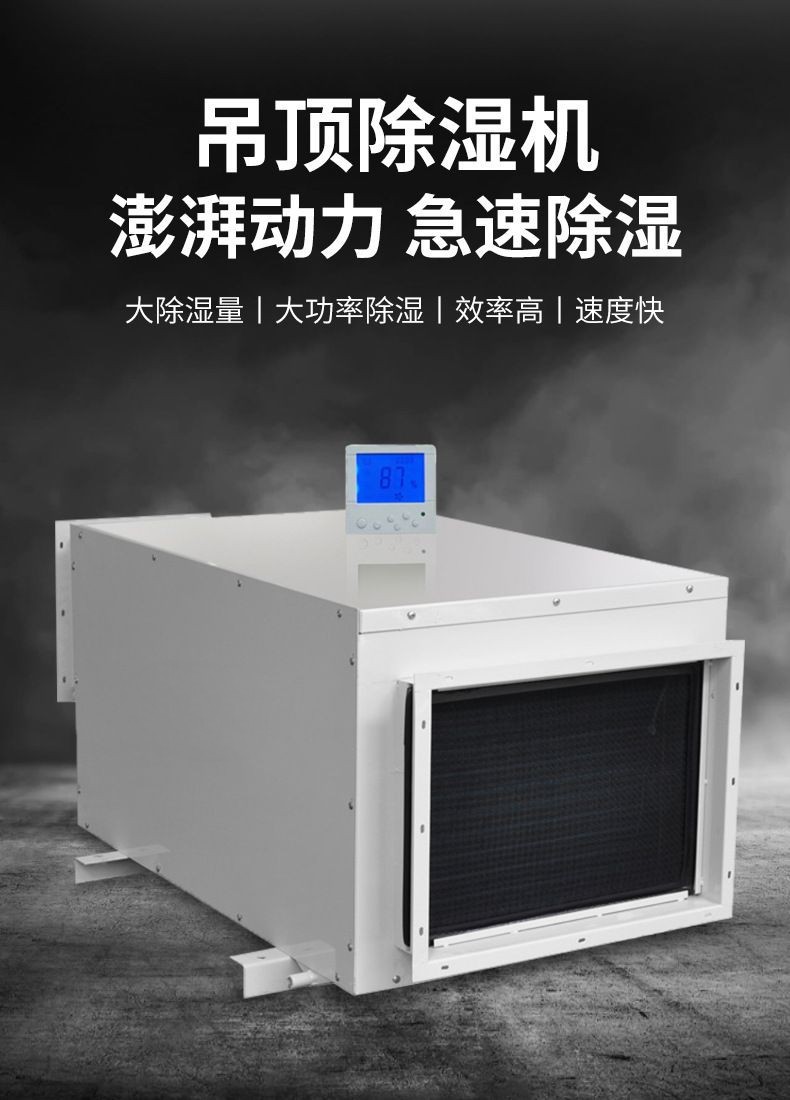 Dehumidifier 160L suspended ceiling Ruiwang supply high-power workshop, shopping mall basement drying, moisture-proof and hygroscopic machine