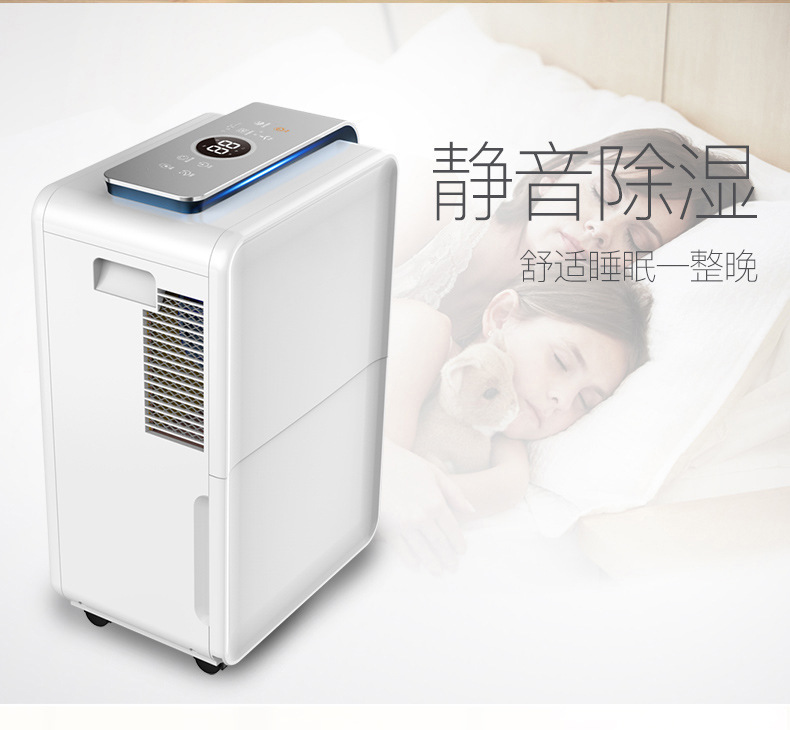 Ruiwang 30L Dehumidifier Household Indoor High Power Intelligent Silent Drying Basement Commercial Dehumidifier