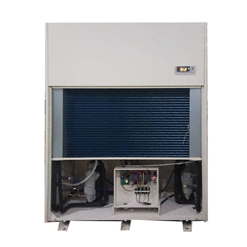 Low temperature resistant dehumidifier 480L high-power RWDW-4881E cold storage factory industrial warehouse dehumidifier Ruiwang