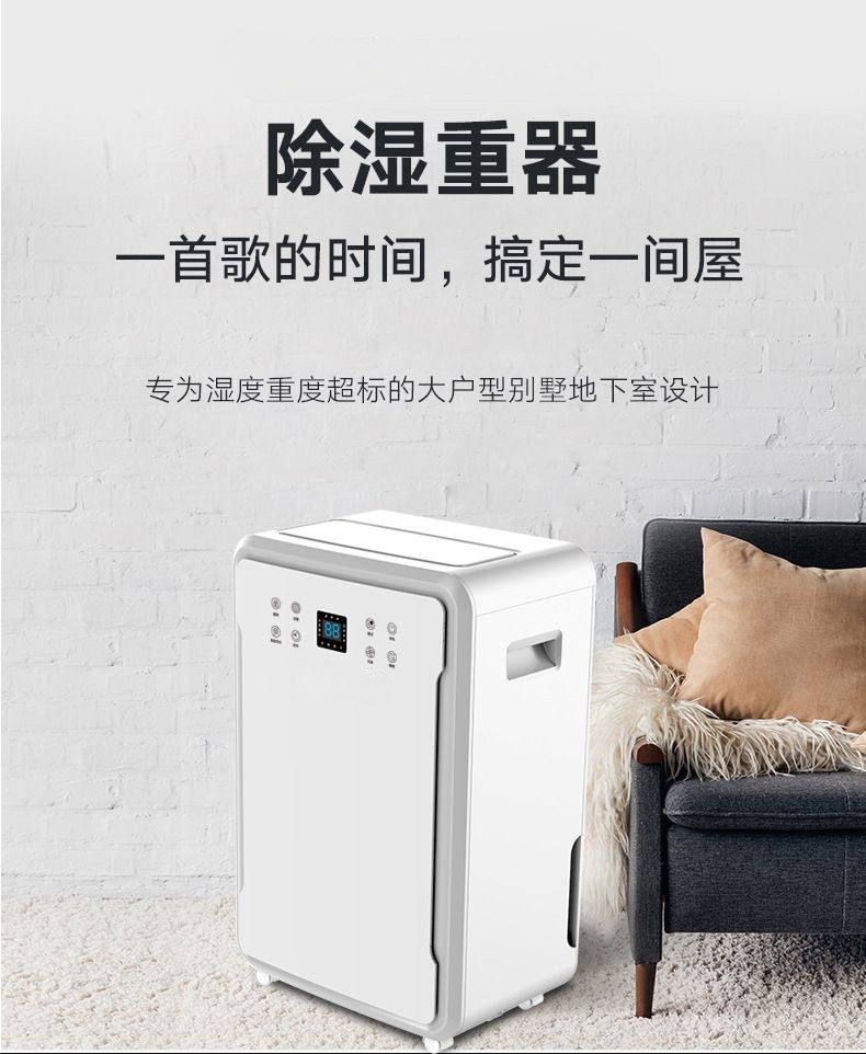 Ruiwang 60L dehumidifier household dehumidifier industrial silent dehumidifier high-power villa dehumidifier