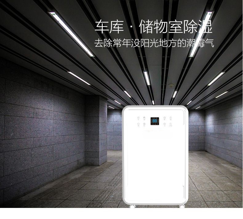 Ruiwang 60L dehumidifier household dehumidifier industrial silent dehumidifier high-power villa dehumidifier