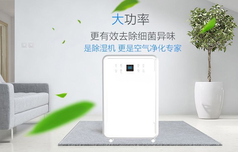 Ruiwang 60L dehumidifier household dehumidifier industrial silent dehumidifier high-power villa dehumidifier