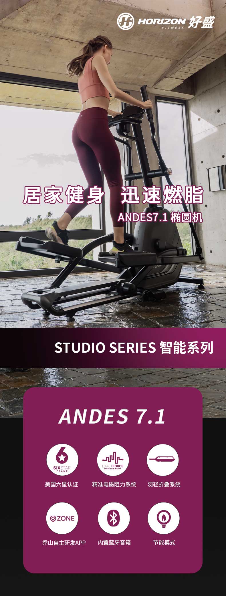 Qiao Shan ANDES 7.1 Elliptical Spacewalk Home Super Silent Fitness Equipment Light Commercial Elliptical Instrument