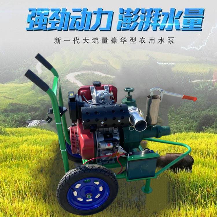 Garden greening sprinkler pump diesel 3-inch high lift pump cart portable irrigation water pump