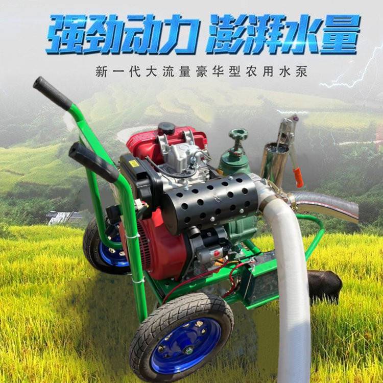 Garden greening sprinkler pump diesel 3-inch high lift pump cart portable irrigation water pump