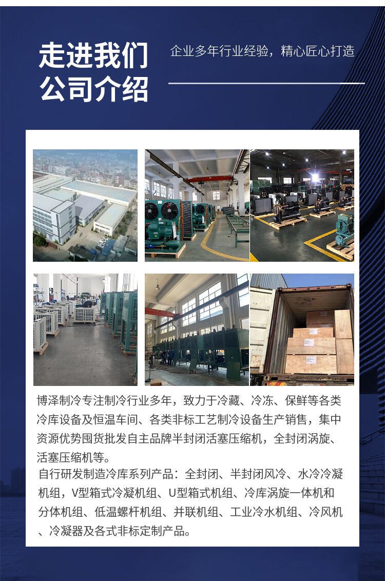 Bodze Supermarket Refrigeration Equipment Laboratory Chiller Popularity New Refrigeration Store Freshness Preservation Cold Storage