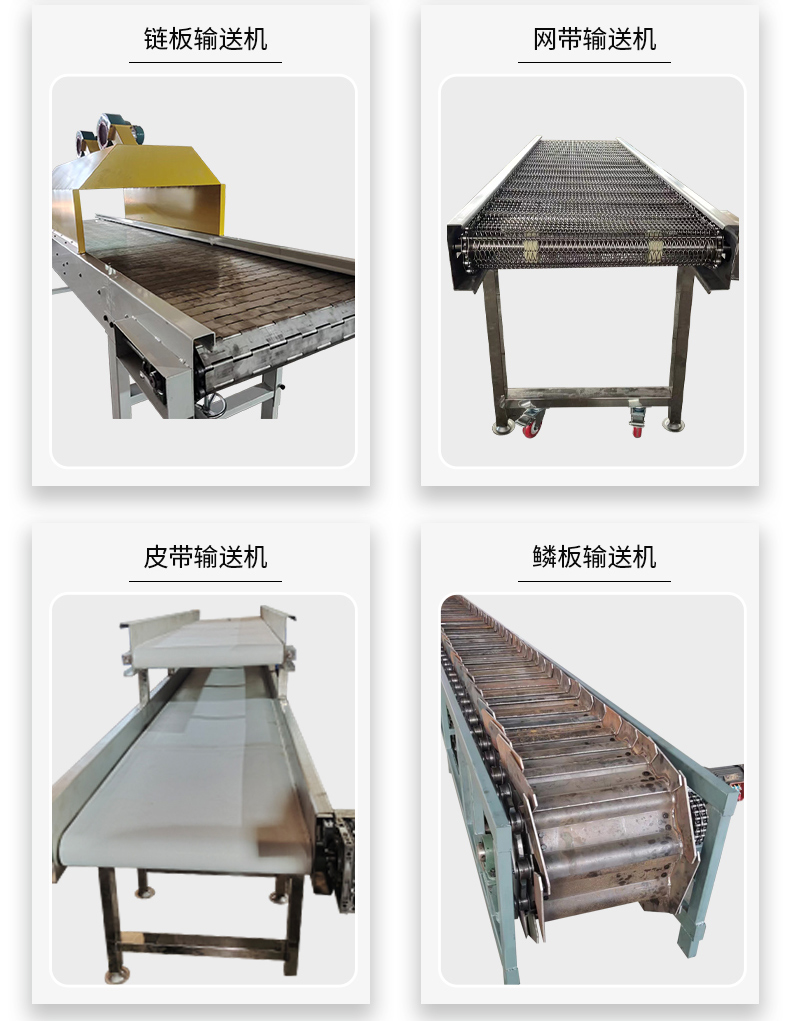 Xinshuntong stainless steel mesh belt conveyor wear-resistant and corrosion-resistant grain, fruit and vegetable belt cleaning assembly line