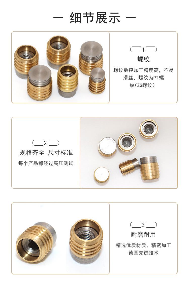 Mold German style HASCO water stop plug, brass thickened, high temperature resistant, burst throat, and Zede standard water plug Z942