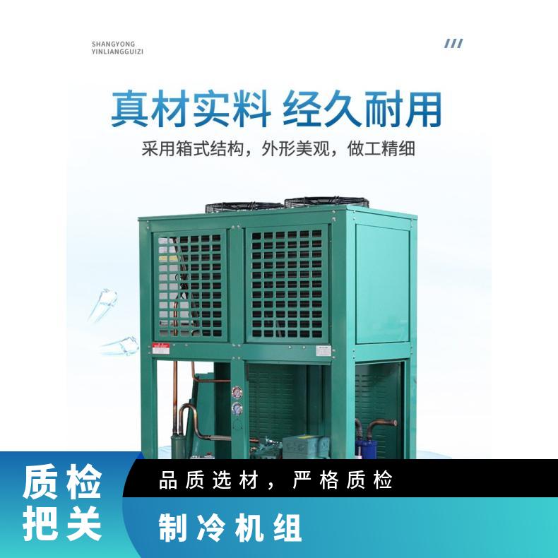 Bodze Refrigeration Equipment Air Cooled Chiller Professional Fast Commercial Refrigerator Refrigerator Cooked Food Display