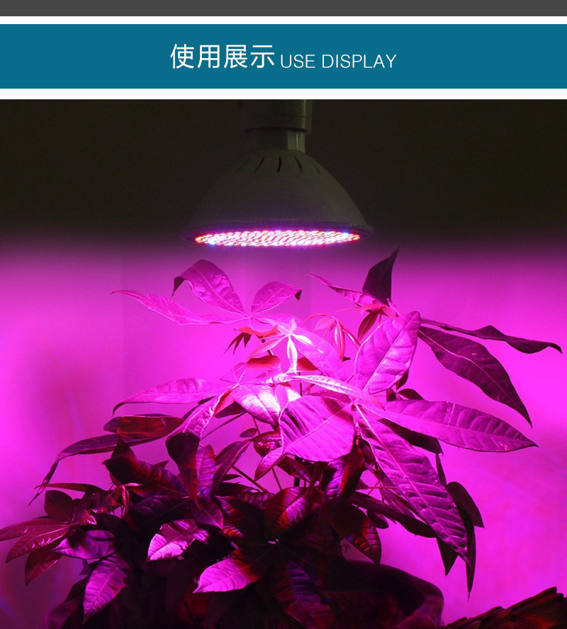 Hemiao Meow Red Blue Plant Light 6W 15W 20W Multi Meat Supplementary Light Indoor Flower Seedling Breeding LED Plant Growth Light