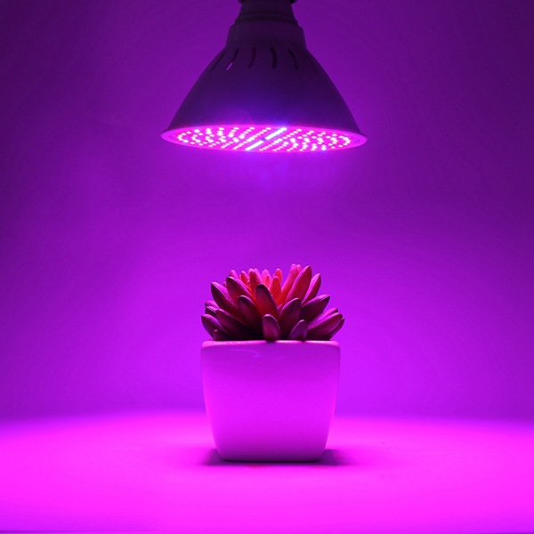 Hemiao Meow Red Blue Plant Light 6W 15W 20W Multi Meat Supplementary Light Indoor Flower Seedling Breeding LED Plant Growth Light