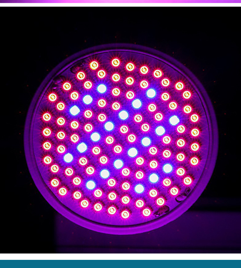 Hemiao Meow Red Blue Plant Light 6W 15W 20W Multi Meat Supplementary Light Indoor Flower Seedling Breeding LED Plant Growth Light