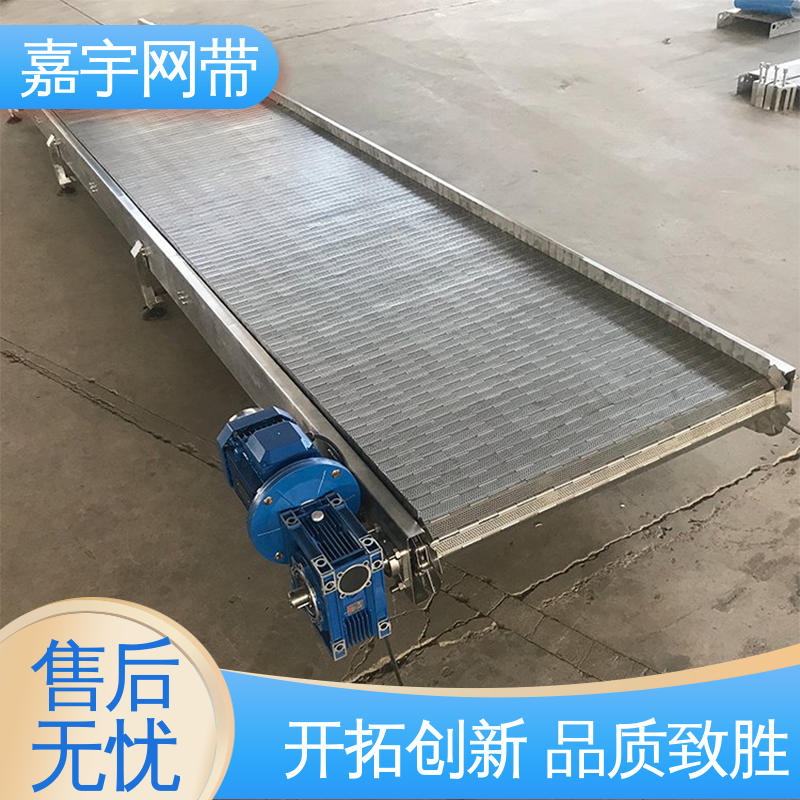 Jiayu Ball Chain Plate Conveyor Trough Baffle Automatic Conveyor Belt Manufacturer Acid and Alkali Corrosion Resistance