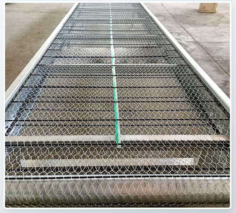 Jiayu Grain Fruit and Vegetable Belt Cleaning Assembly Line Mesh Belt Chain Plate Conveyor High Temperature Food Grade